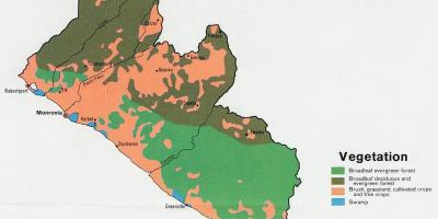 Kart over vegetasjon kart i Liberia